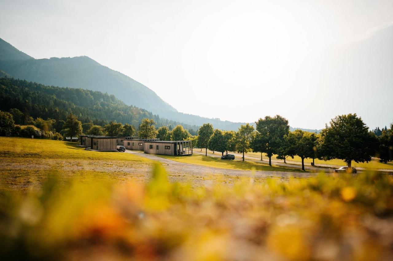 Chaletpark Petzen Hotel Feistritz ob Bleiburg Екстериор снимка