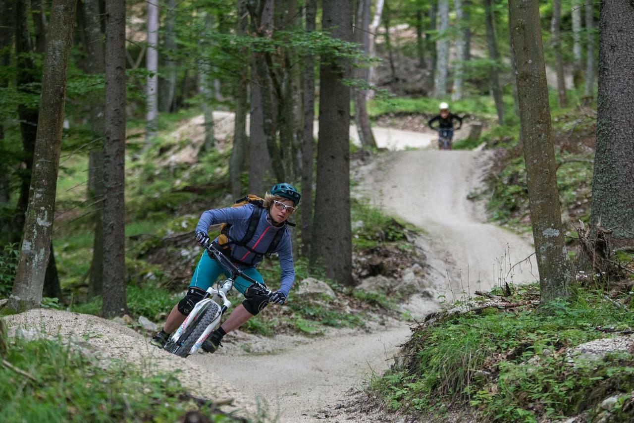 Chaletpark Petzen Hotel Feistritz ob Bleiburg Екстериор снимка