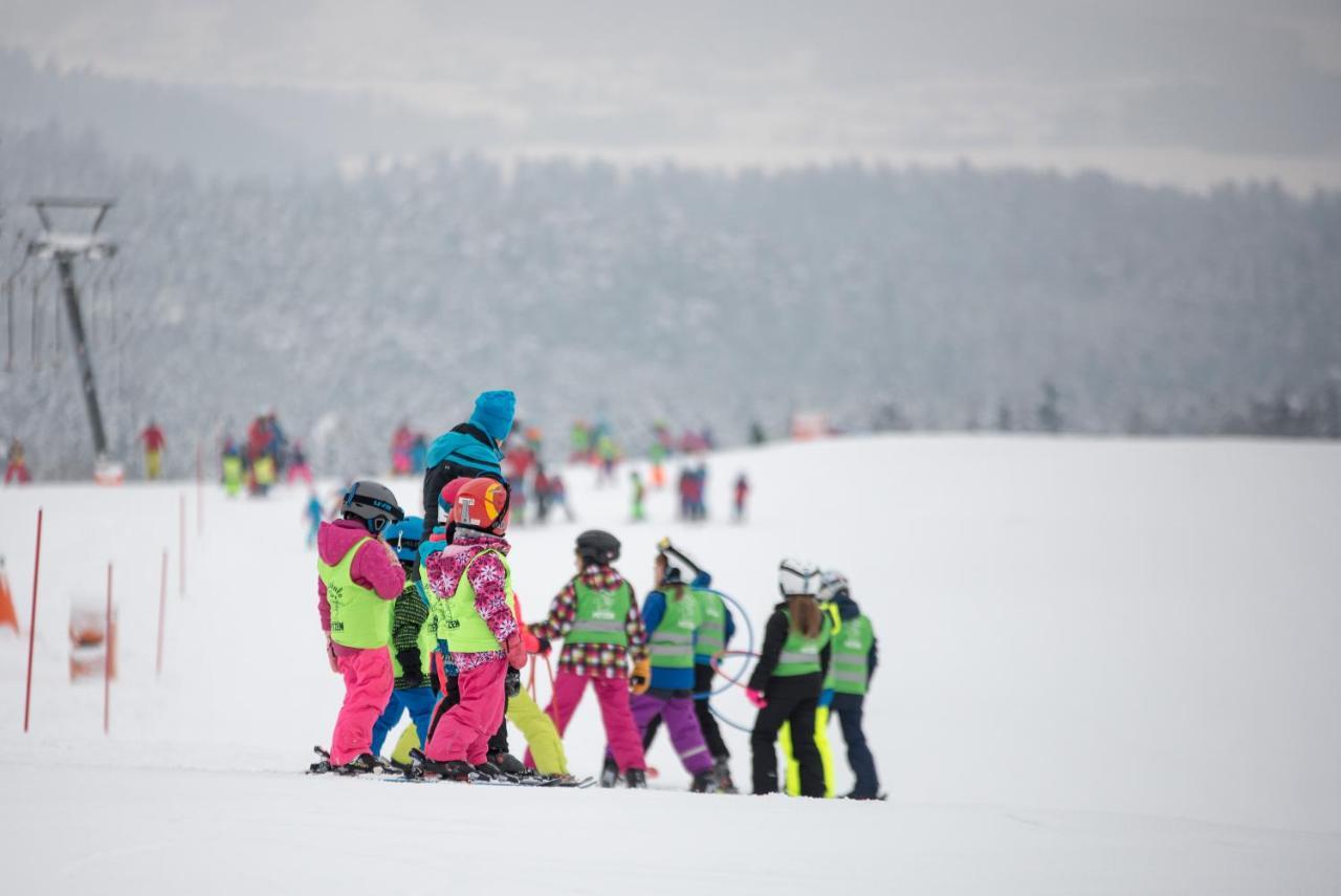 Chaletpark Petzen Hotel Feistritz ob Bleiburg Екстериор снимка