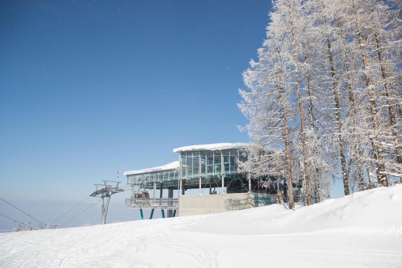 Chaletpark Petzen Hotel Feistritz ob Bleiburg Екстериор снимка